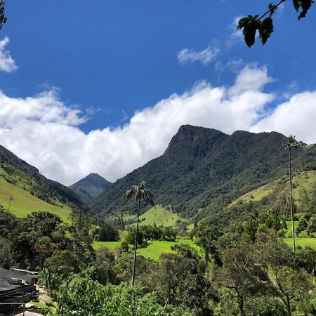 Cabanas Valle Del Cocora La Truchera 萨兰托 外观 照片