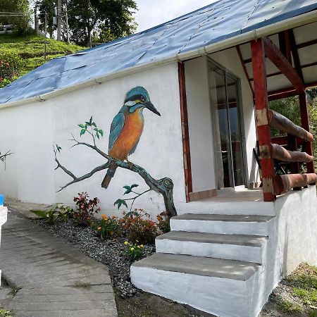 Cabanas Valle Del Cocora La Truchera 萨兰托 外观 照片
