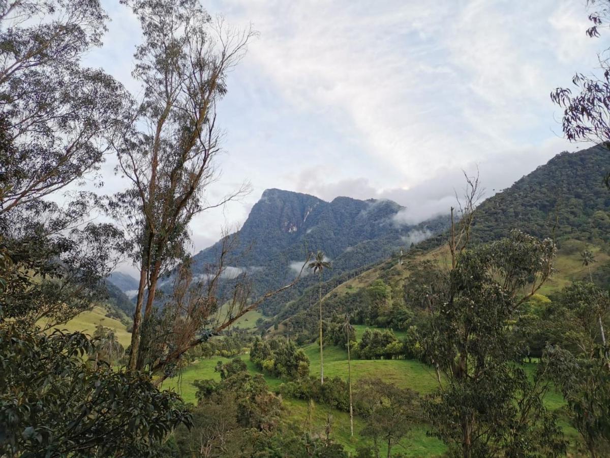 Cabanas Valle Del Cocora La Truchera 萨兰托 外观 照片