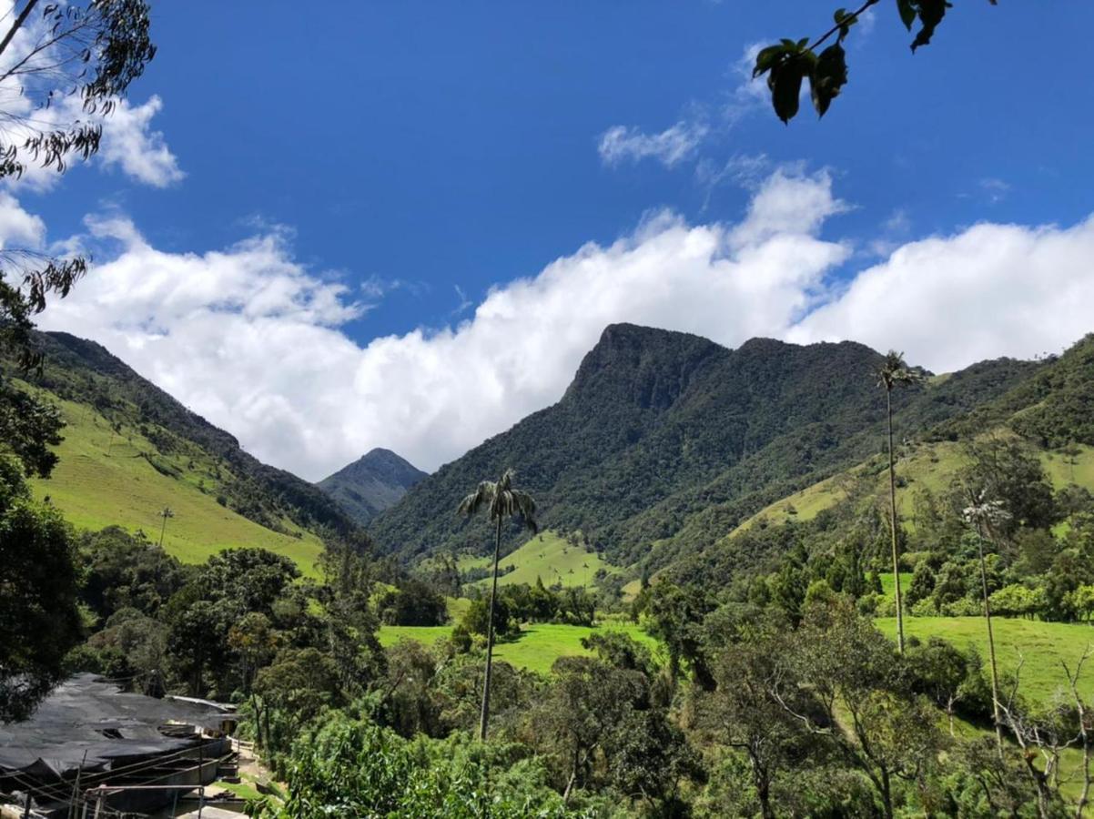 Cabanas Valle Del Cocora La Truchera 萨兰托 外观 照片