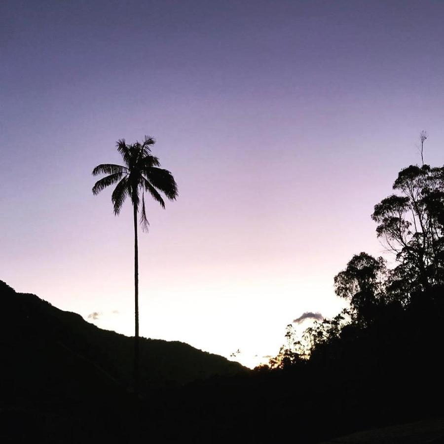 Cabanas Valle Del Cocora La Truchera 萨兰托 外观 照片
