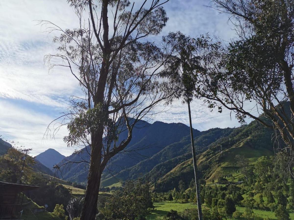 Cabanas Valle Del Cocora La Truchera 萨兰托 外观 照片
