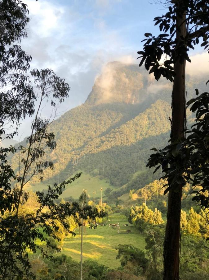 Cabanas Valle Del Cocora La Truchera 萨兰托 外观 照片