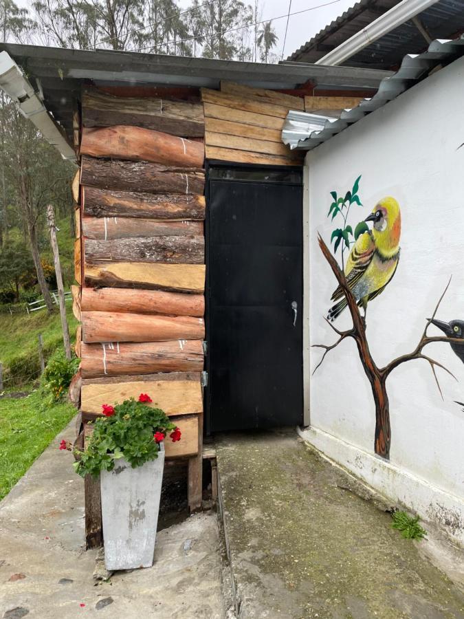 Cabanas Valle Del Cocora La Truchera 萨兰托 外观 照片