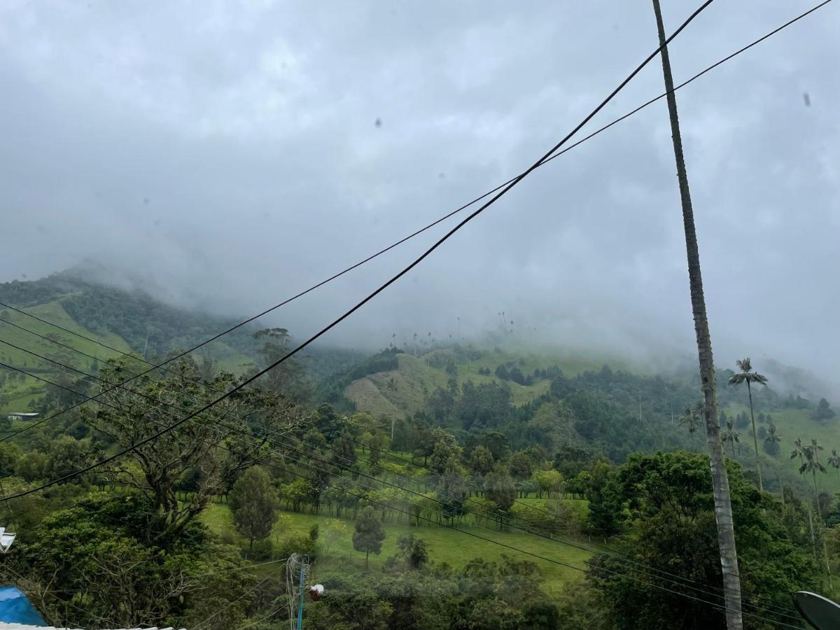 Cabanas Valle Del Cocora La Truchera 萨兰托 外观 照片