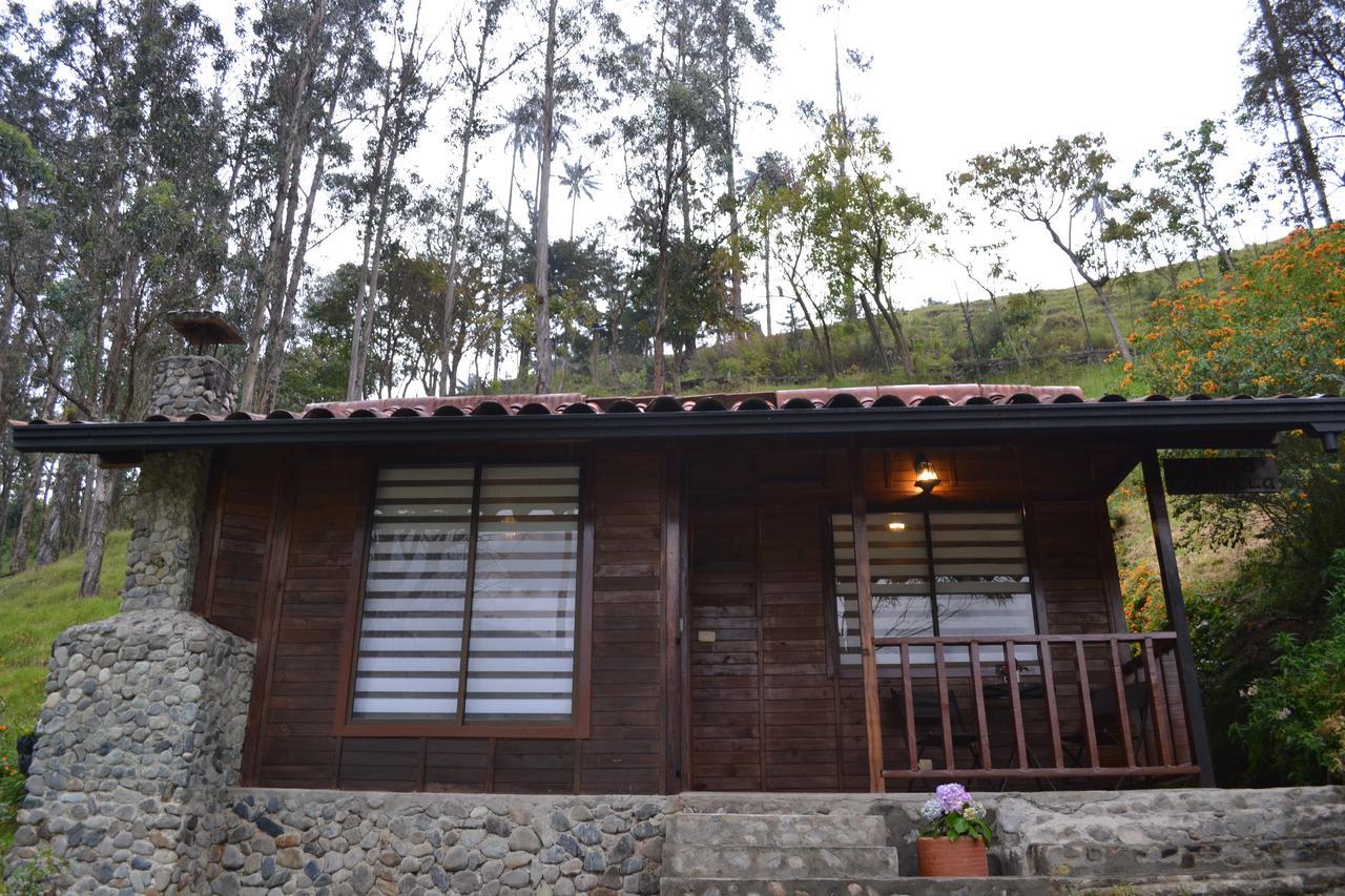 Cabanas Valle Del Cocora La Truchera 萨兰托 外观 照片