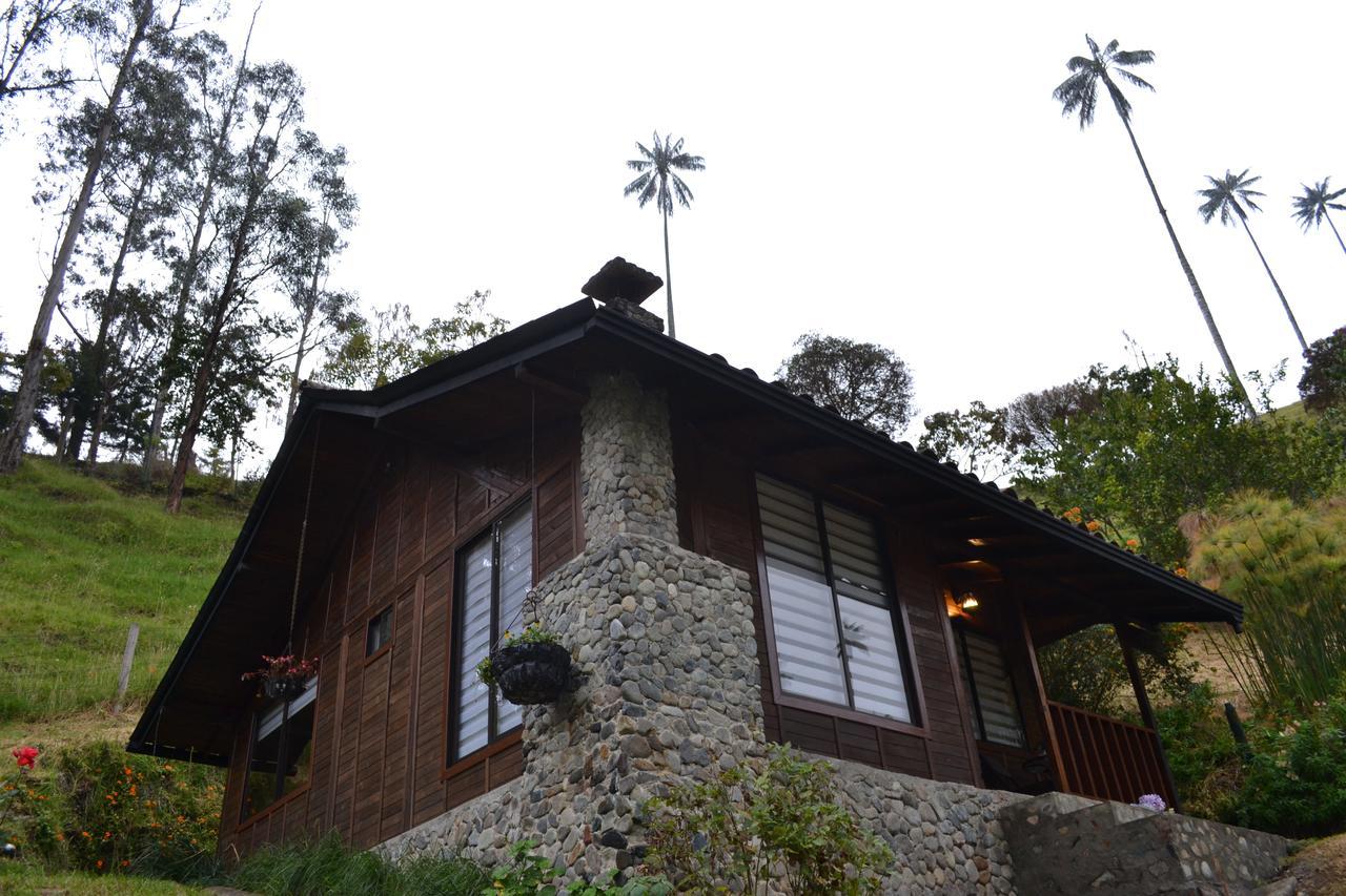 Cabanas Valle Del Cocora La Truchera 萨兰托 外观 照片