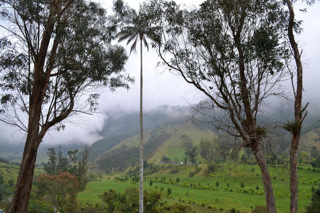 Cabanas Valle Del Cocora La Truchera 萨兰托 外观 照片