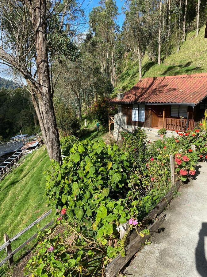 Cabanas Valle Del Cocora La Truchera 萨兰托 外观 照片