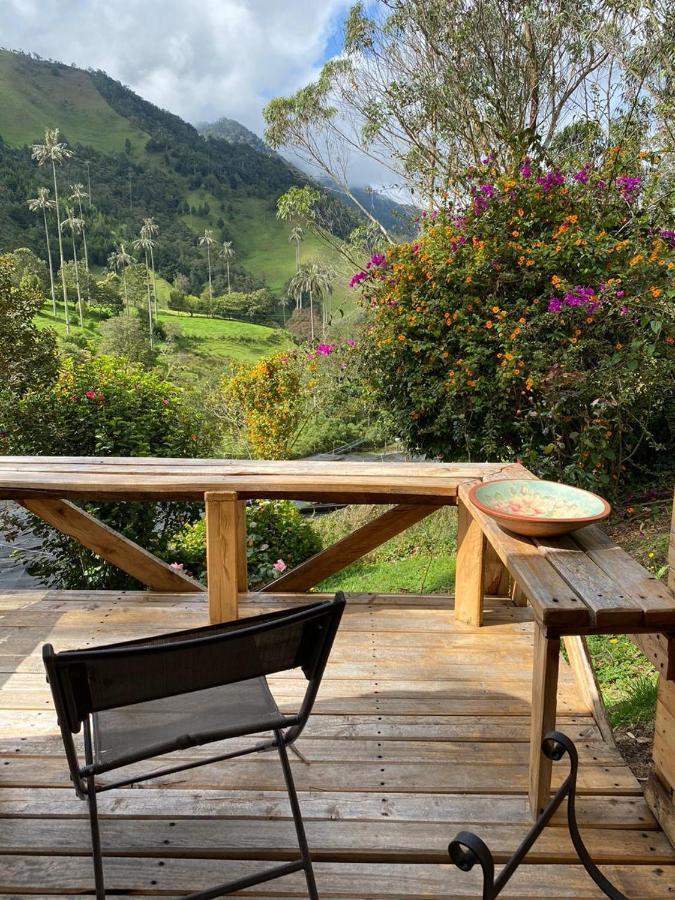 Cabanas Valle Del Cocora La Truchera 萨兰托 外观 照片