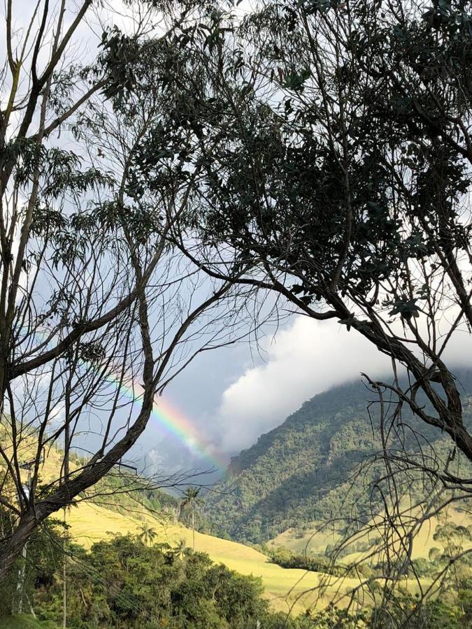 Cabanas Valle Del Cocora La Truchera 萨兰托 外观 照片
