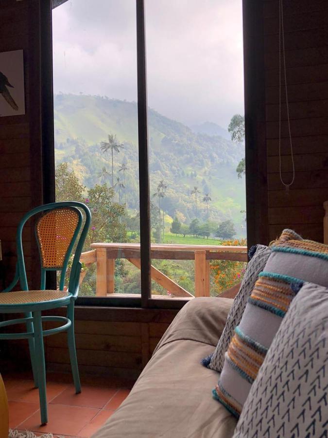 Cabanas Valle Del Cocora La Truchera 萨兰托 外观 照片