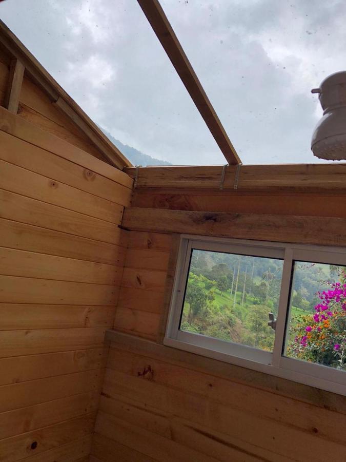 Cabanas Valle Del Cocora La Truchera 萨兰托 外观 照片