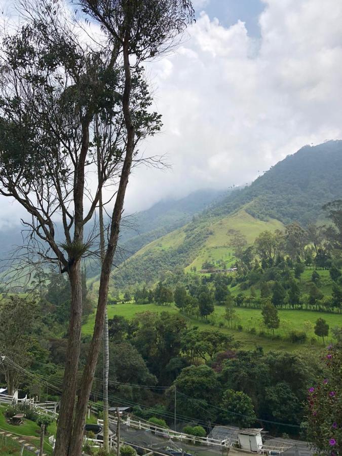 Cabanas Valle Del Cocora La Truchera 萨兰托 外观 照片