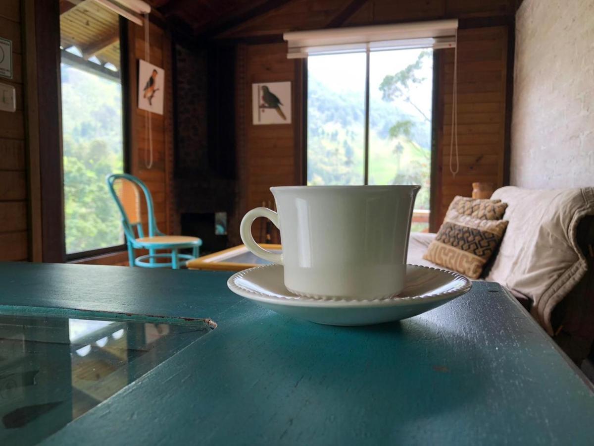 Cabanas Valle Del Cocora La Truchera 萨兰托 外观 照片