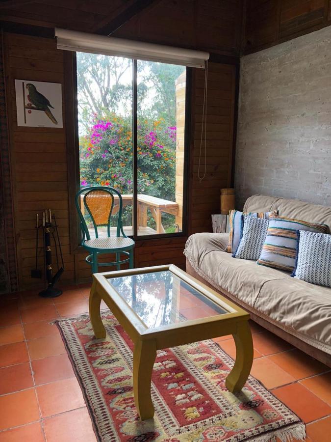 Cabanas Valle Del Cocora La Truchera 萨兰托 外观 照片