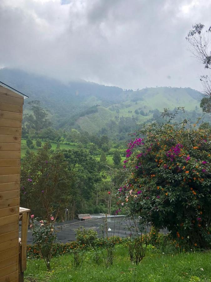 Cabanas Valle Del Cocora La Truchera 萨兰托 外观 照片