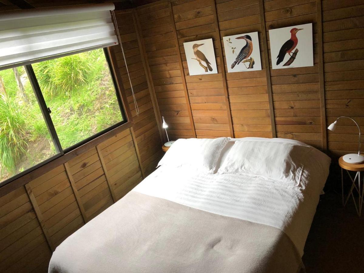 Cabanas Valle Del Cocora La Truchera 萨兰托 外观 照片